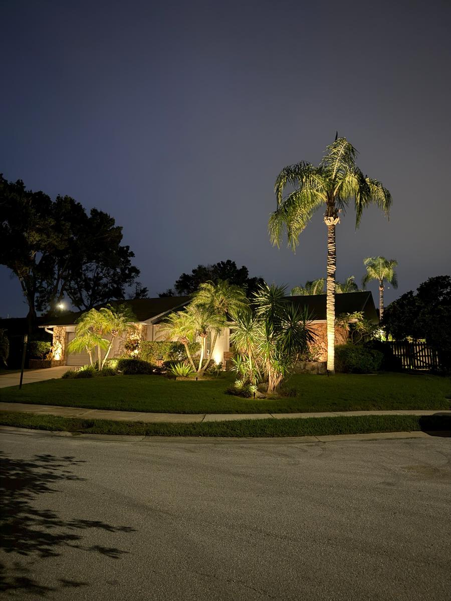 Landscape Lighting on Palm Trees and Facade – Wesley Chapel, FL