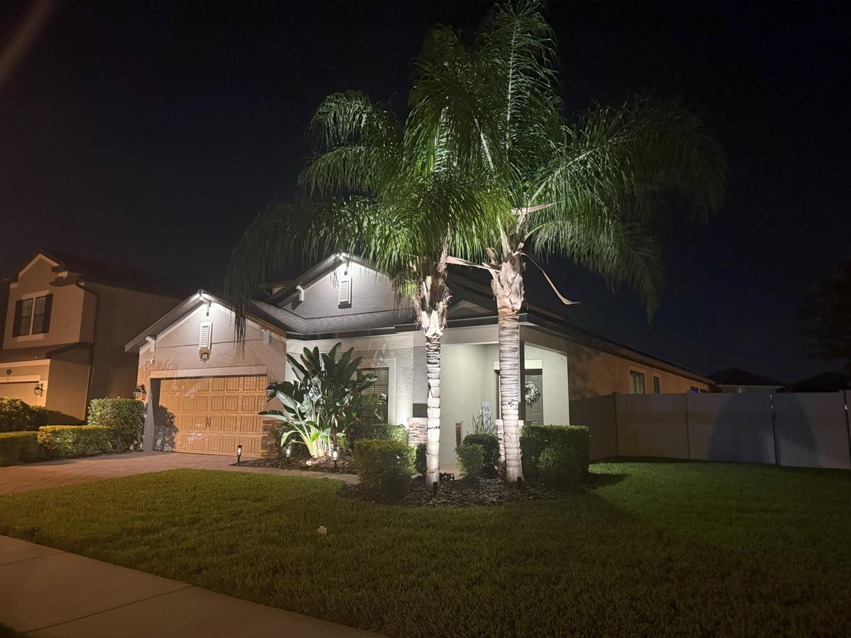 Palm-Lit Entryway with Subtle Garage Lighting – Lutz Neighborhood