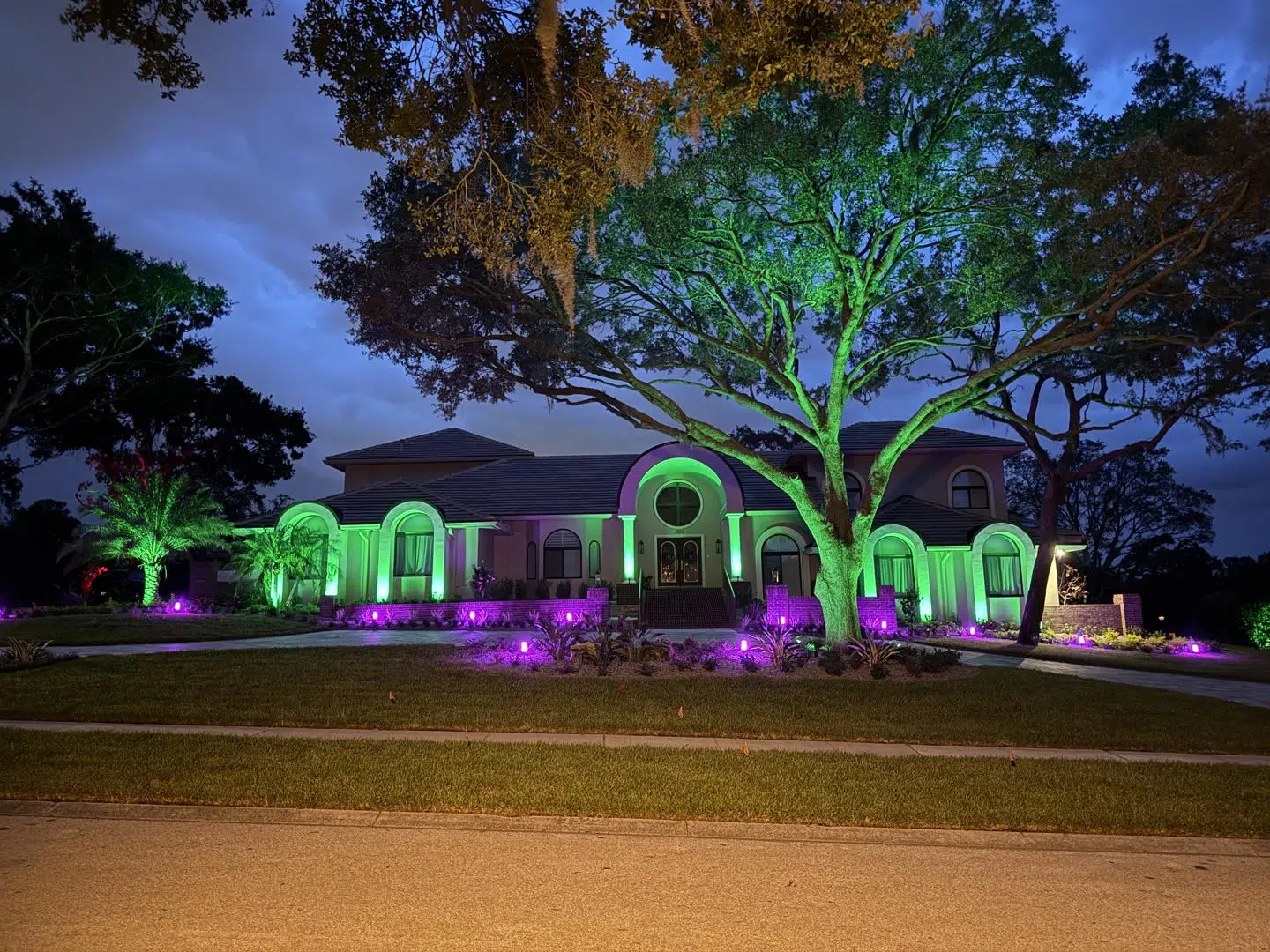 A Land O' Lakes home with vibrant green and magenta lighting on trees and shrubs.