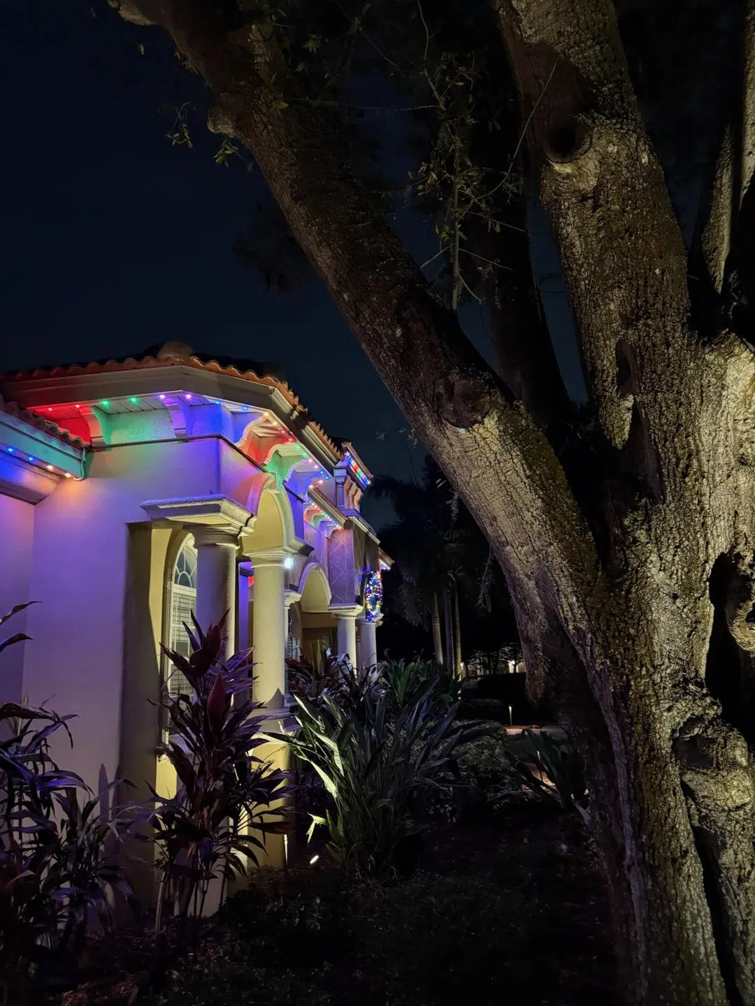 Colorful low-voltage house lighting and tree uplighting