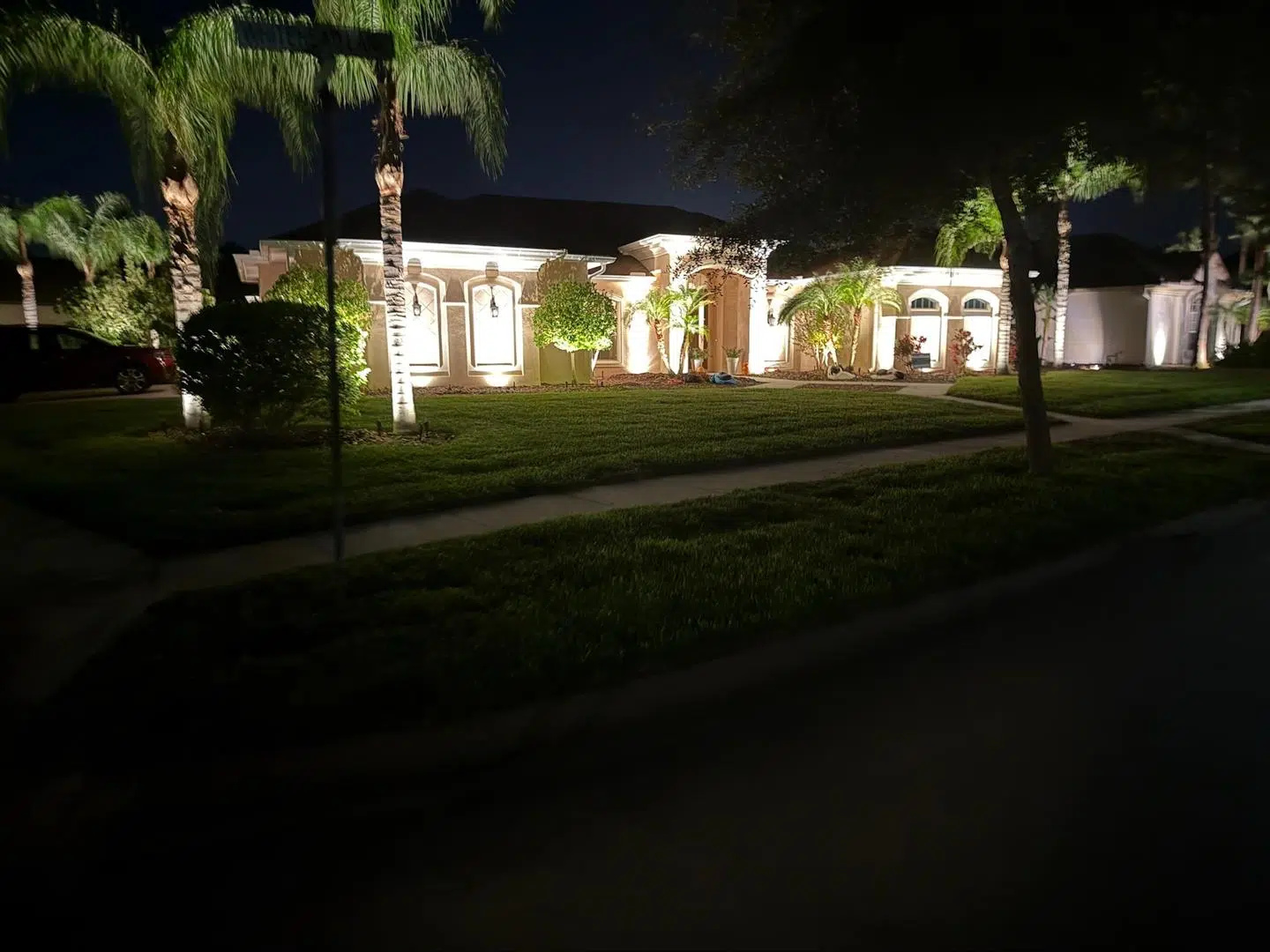 Bright, clean landscape lighting on palm trees and a Lutz home's front yard.