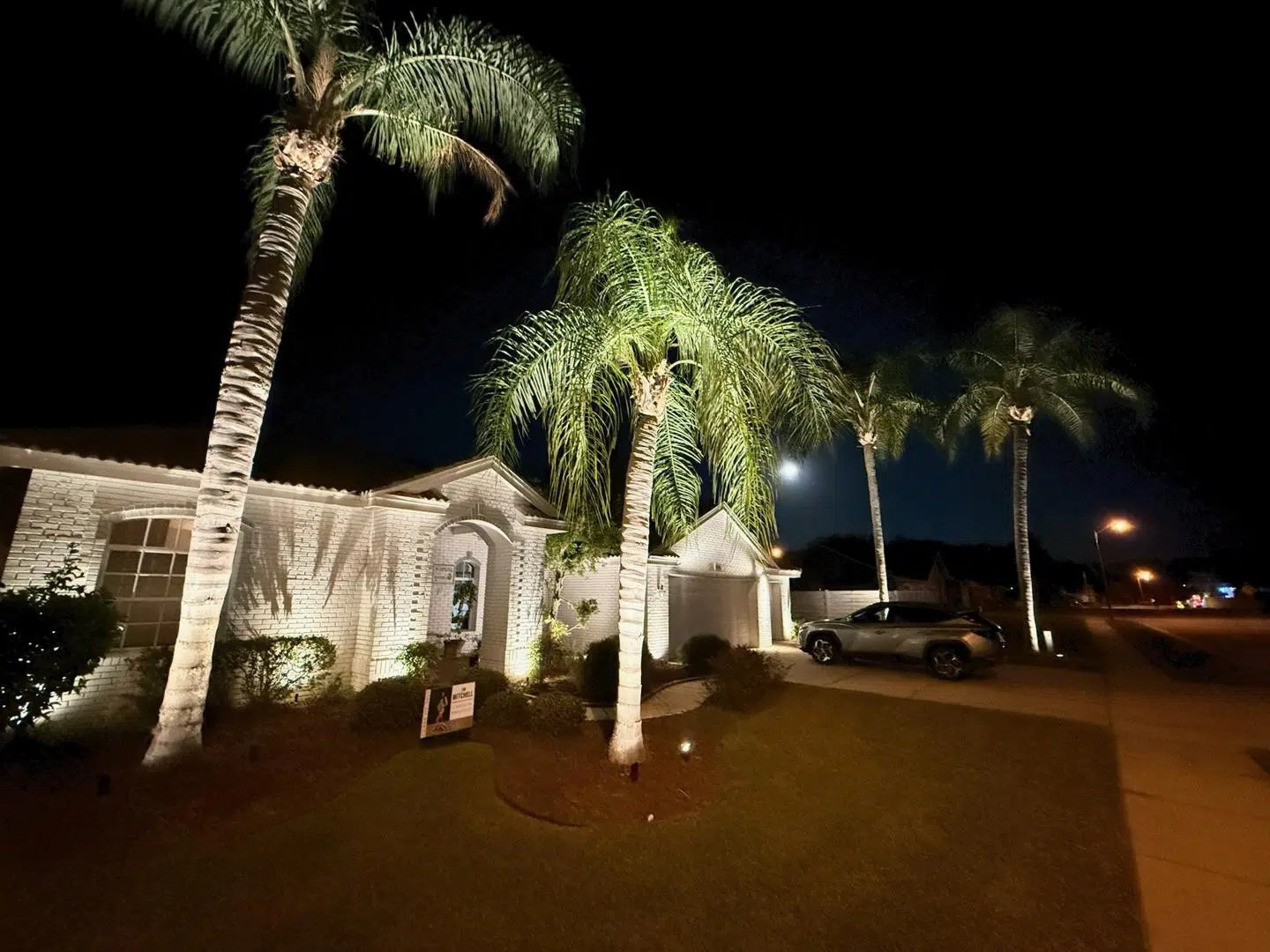 White lighting focused on palm trees and entry pillars at a Cheval home.