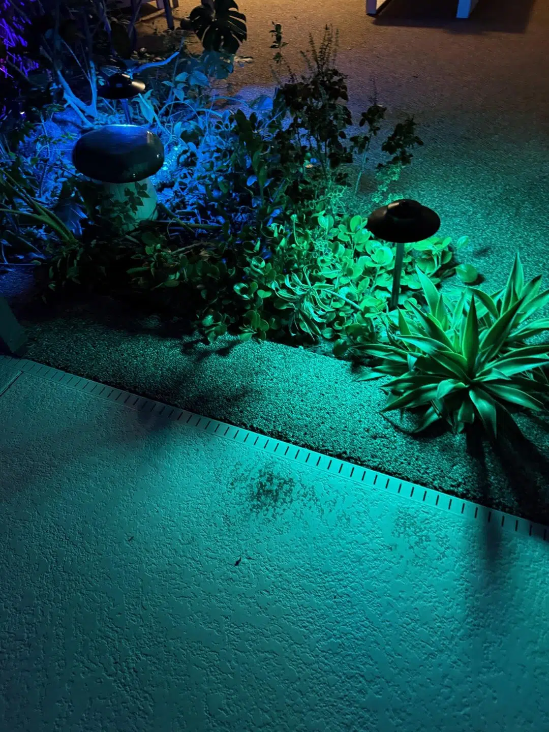 Focused green lighting on plants and hardscape in a Keystone home’s backyard.