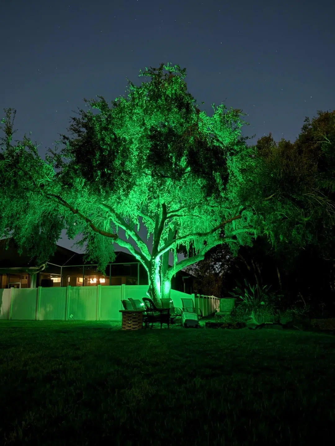 Vivid green uplighting on a large tree in a Tarpon Springs front yard at night.
