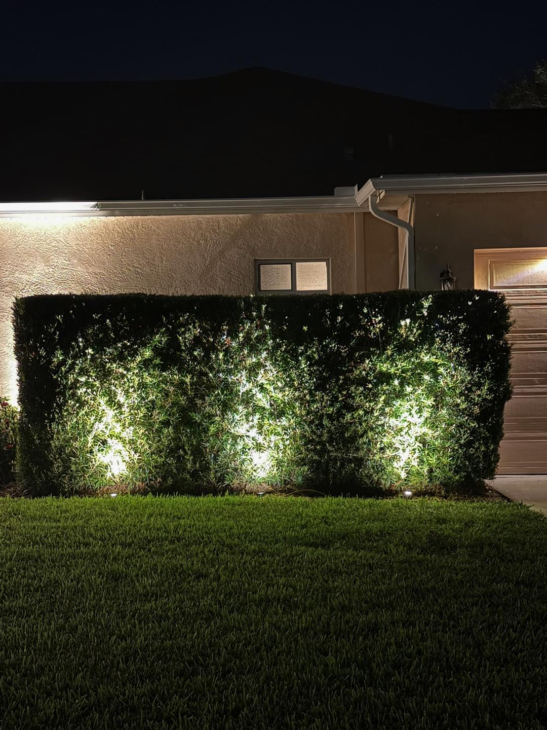 Bright white LED lights highlighting neatly trimmed hedges in a Tarpon Springs front yard.Bright white LED lights highlighting neatly trimmed hedges in a Tarpon Springs front yard.