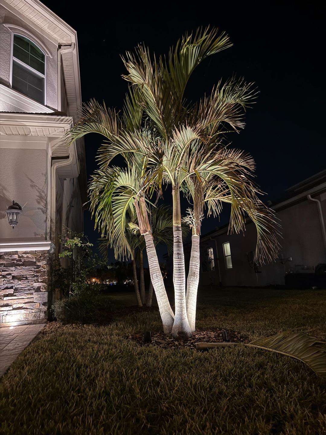 Outdoor Lighting in Wesley Chapel | Grounded Lighting Tampa