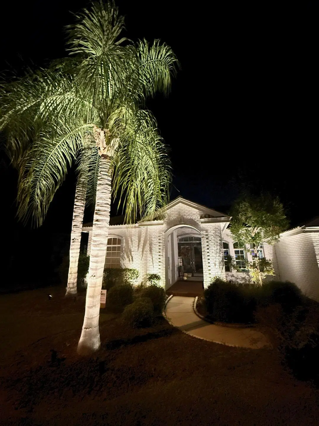 Tall palm trees illuminated with soft uplighting in the front yard of a Trinity residence.