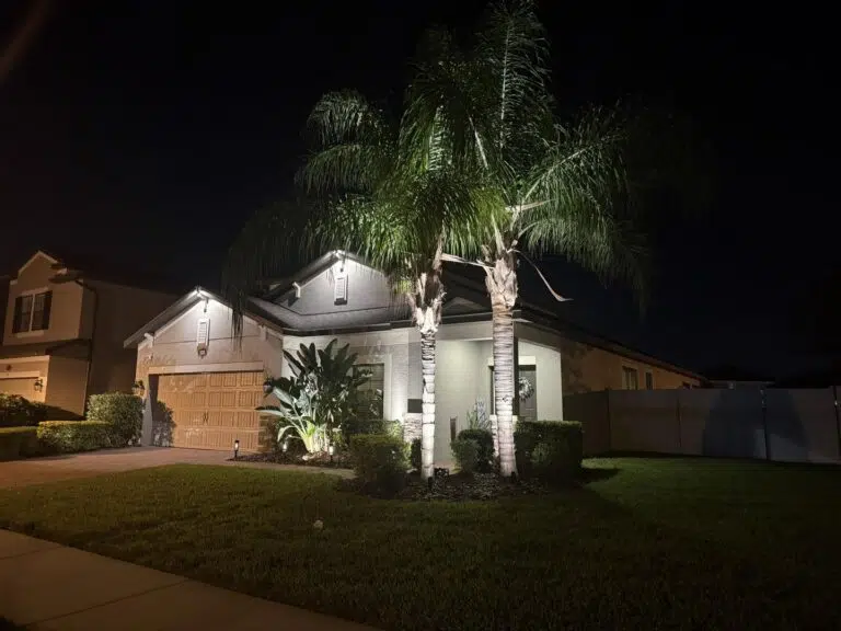Soft landscape lighting on palm trees and the front of a Tarpon Springs home.