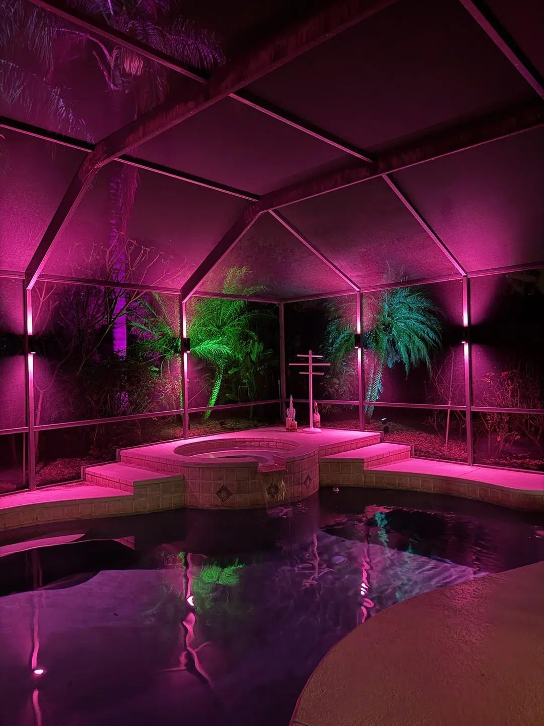 Pink and purple LED lighting around a screened-in pool area in Wesley Chapel.