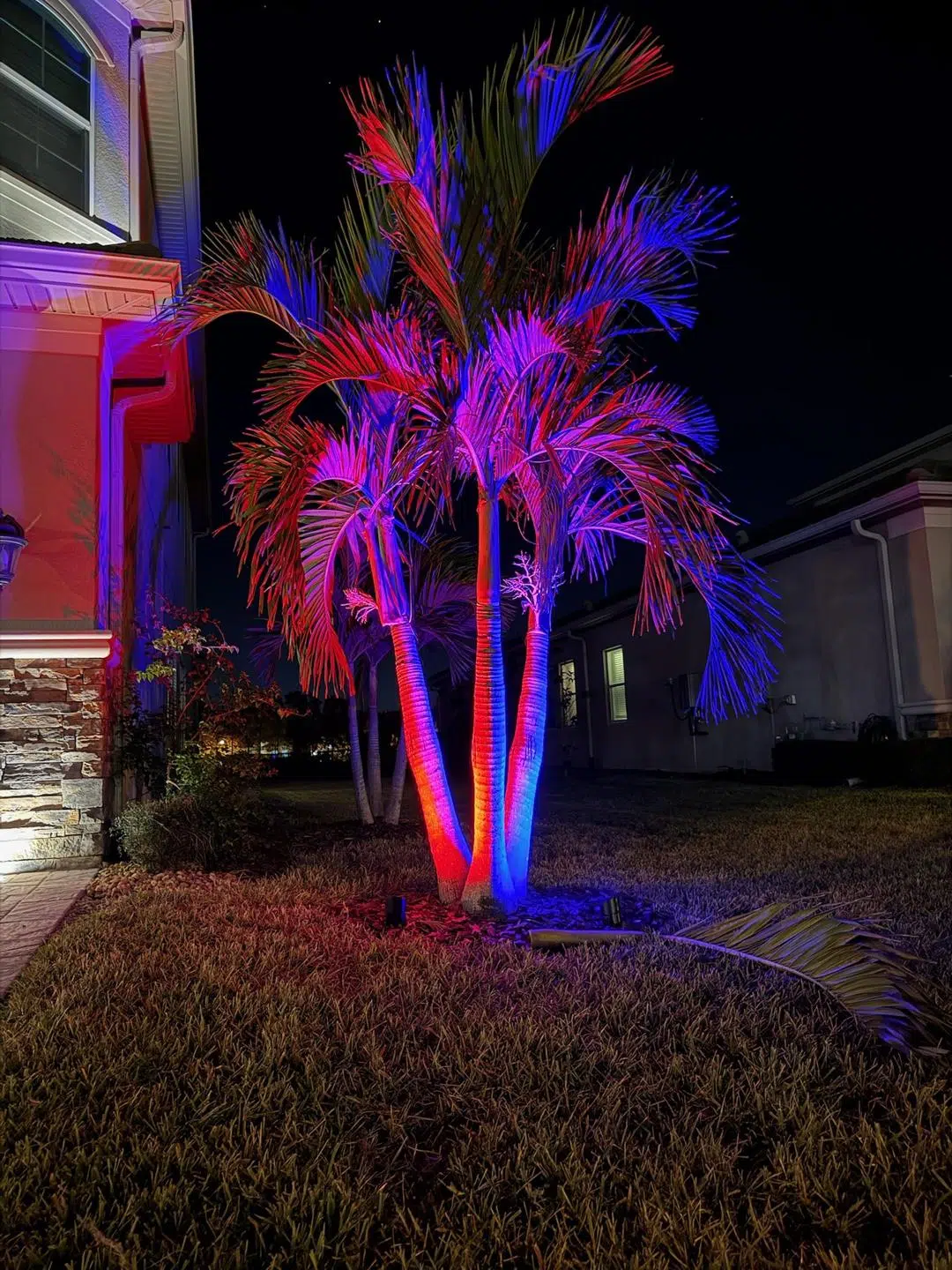 Vibrant color-changing lighting on palm trees near the entrance of a Keystone property.