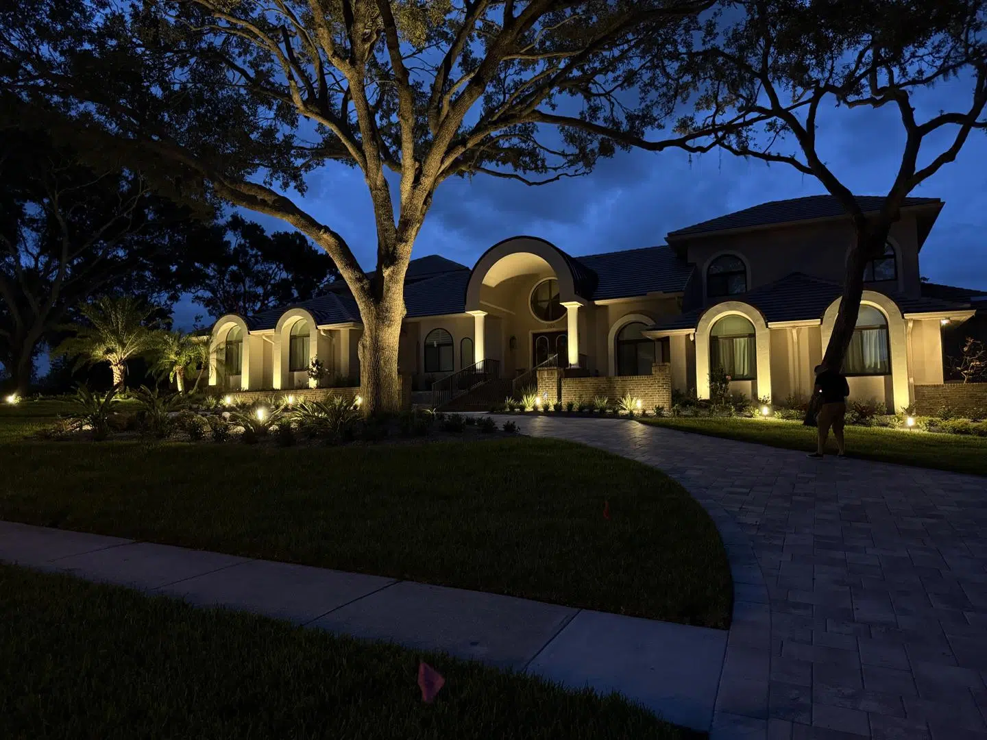 Warm outdoor lighting on the front yard of a Land O' Lakes home just after sunset.