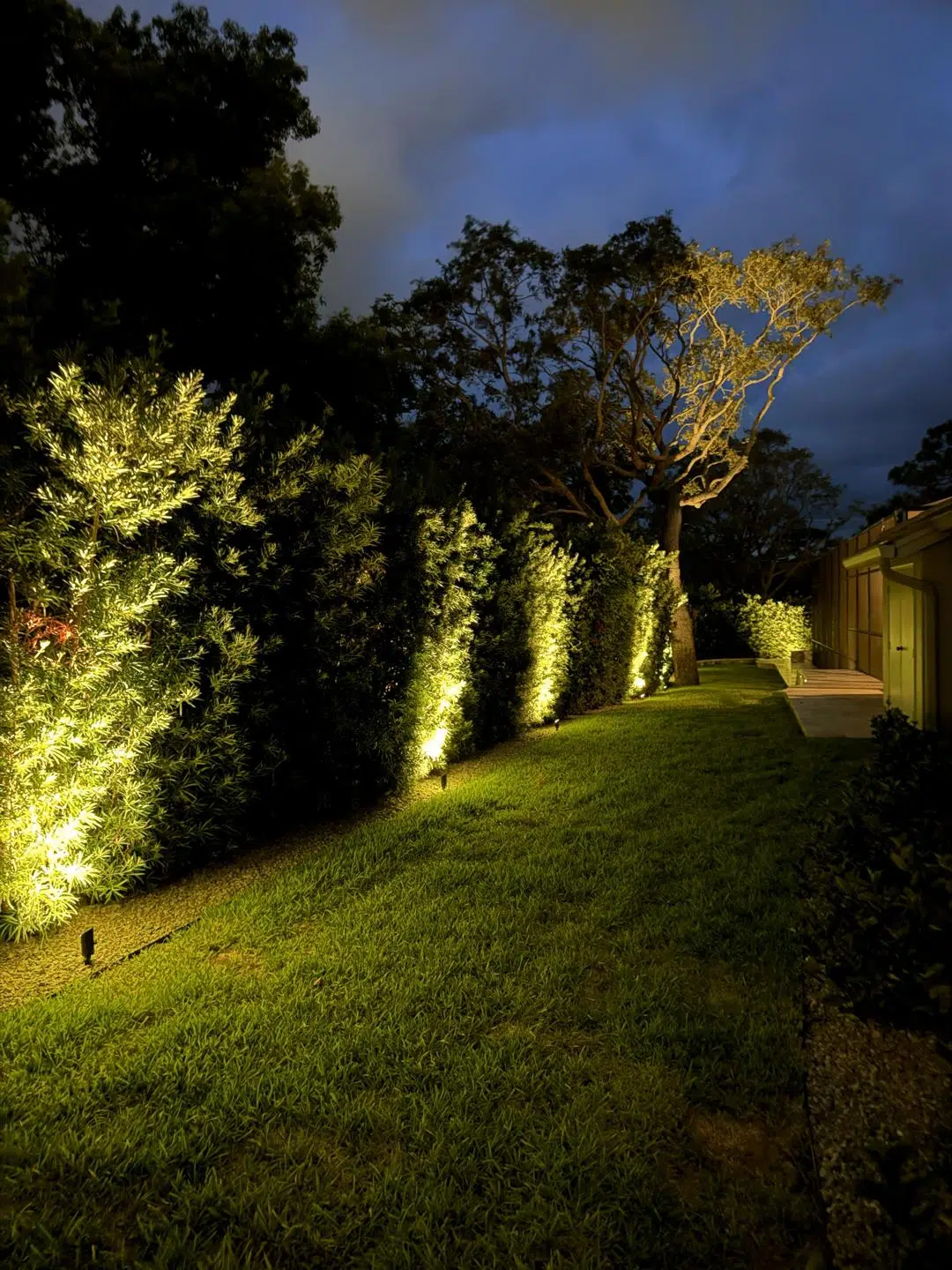 Outdoor Garden Lights Walkway Hedge Lighting