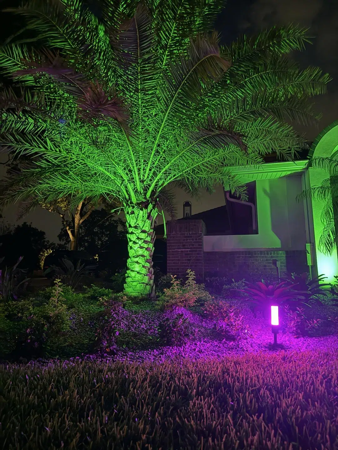 Palm Tree Garden Lighting Purple Uplighting