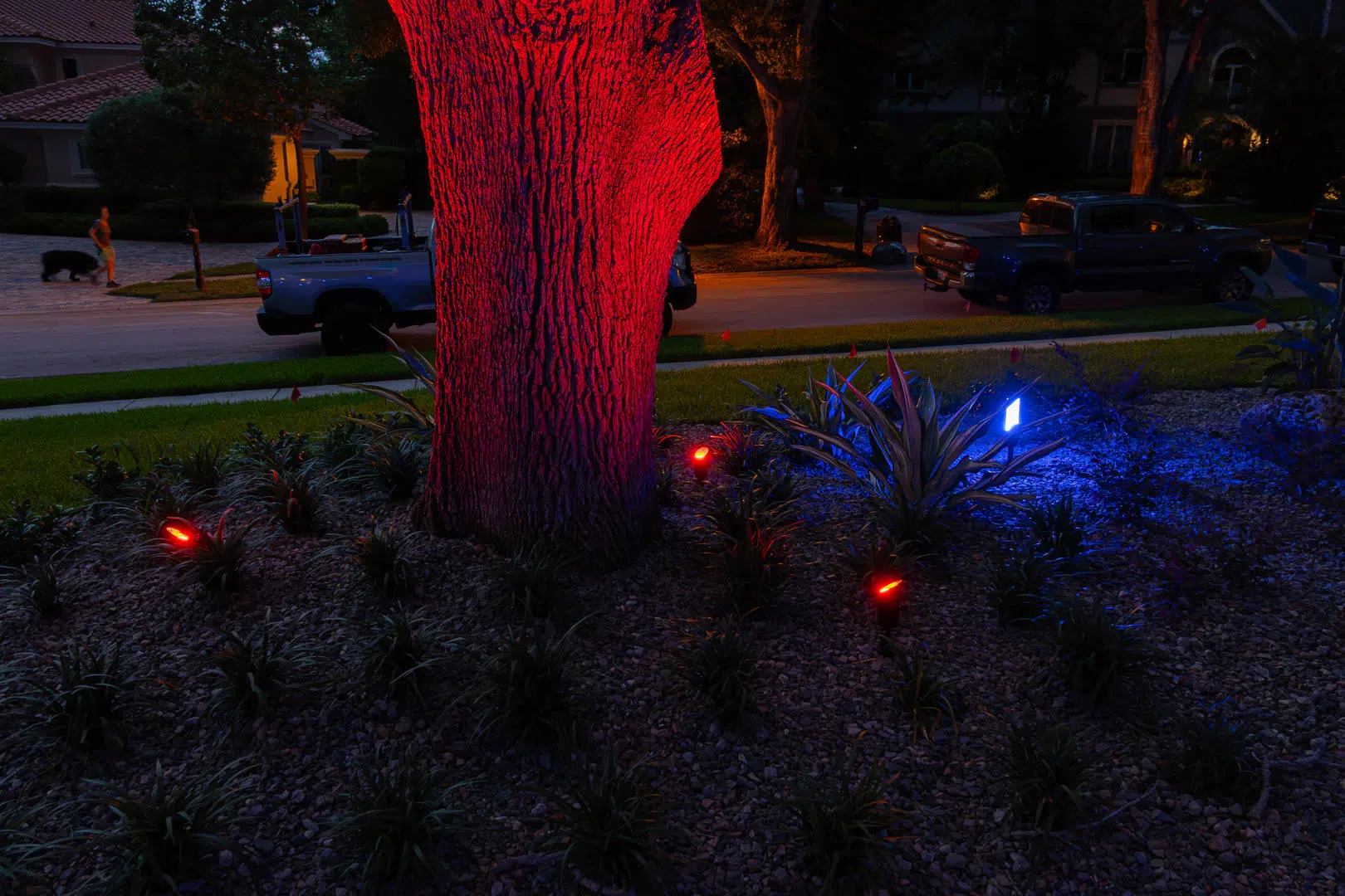 Red Accent Garden Lighting Trees and Plants