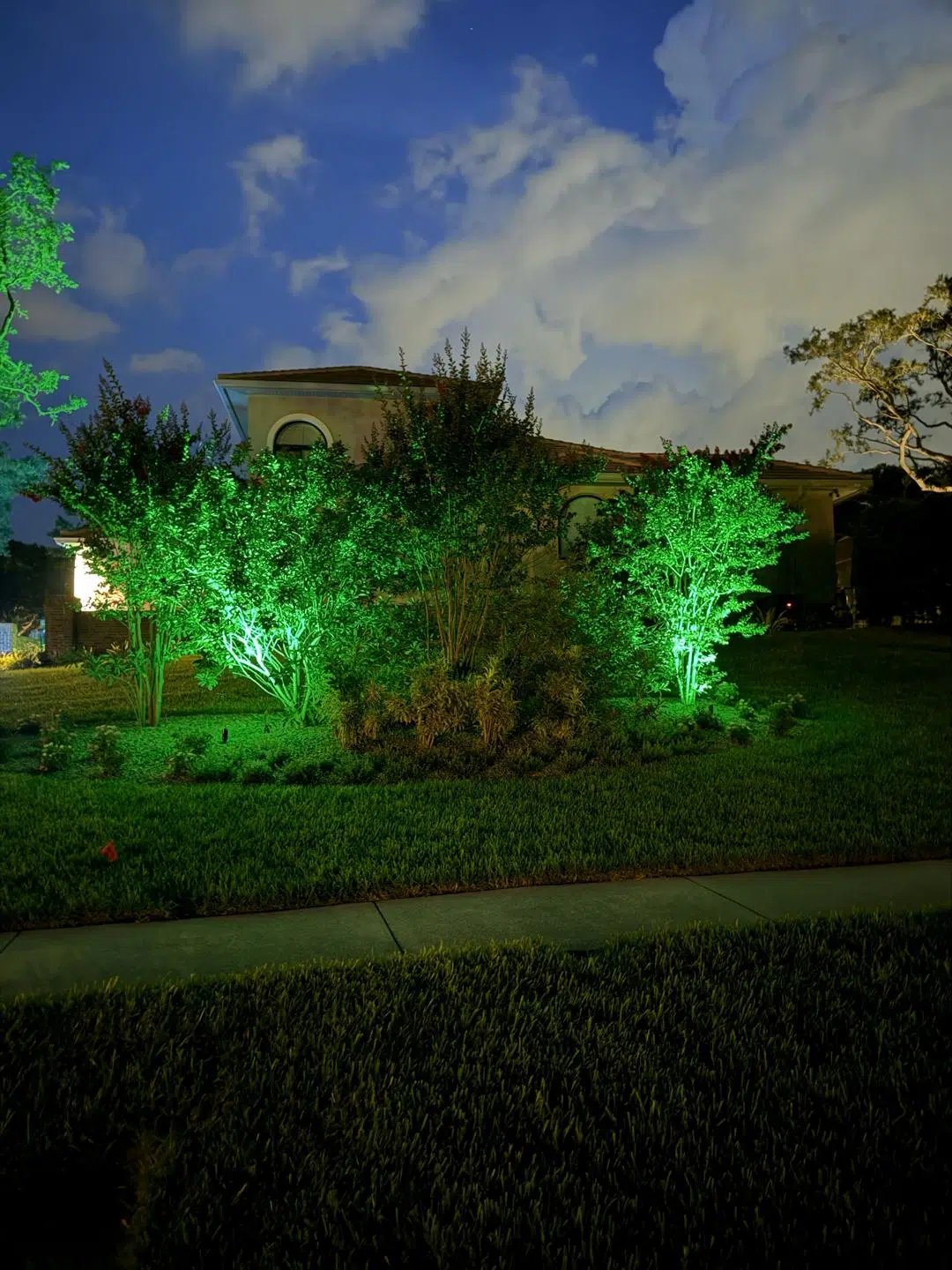 Vibrant Garden Lighting Color Uplight Tampa