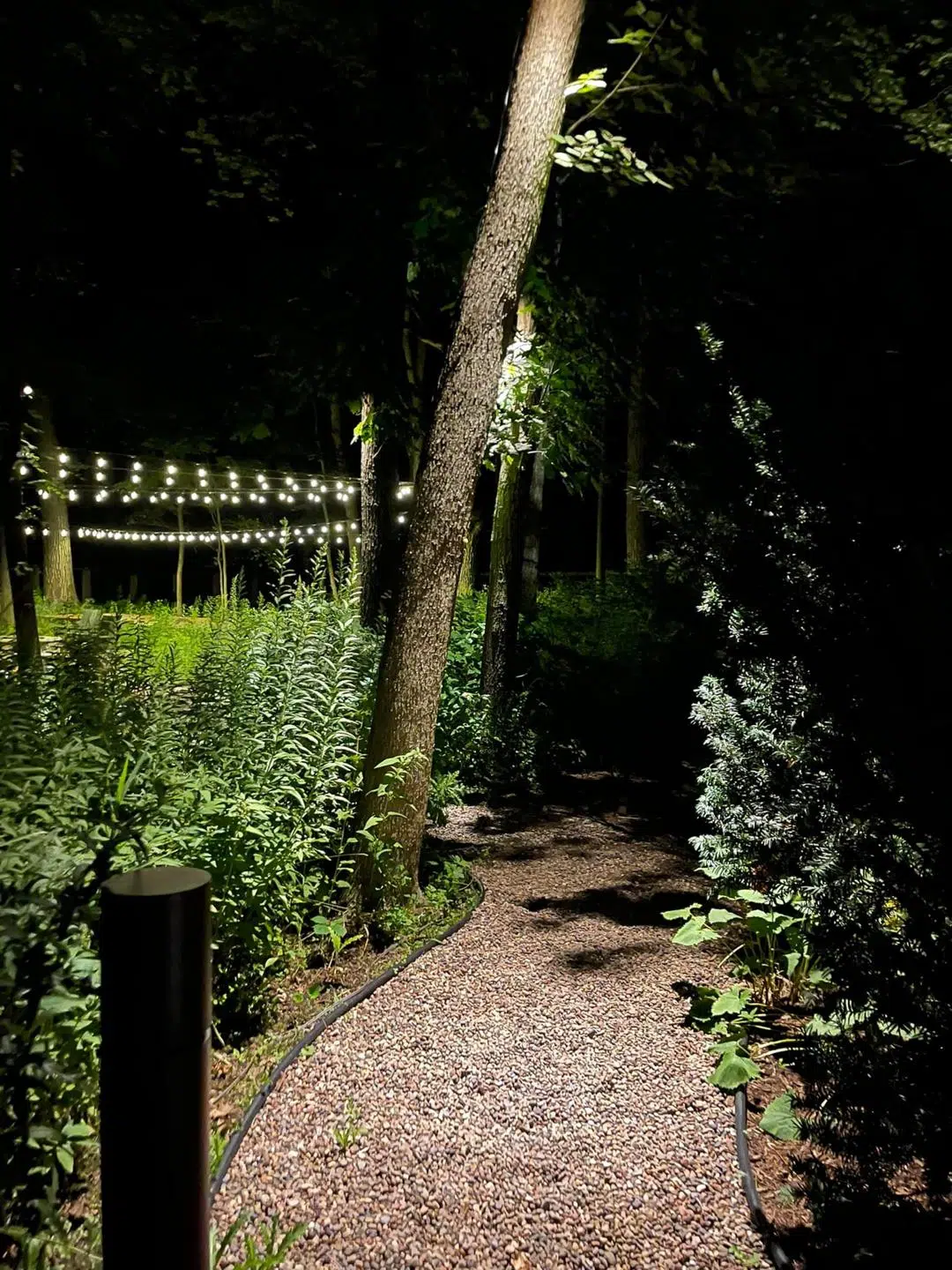 Garden Pathway with Bistro Lighting