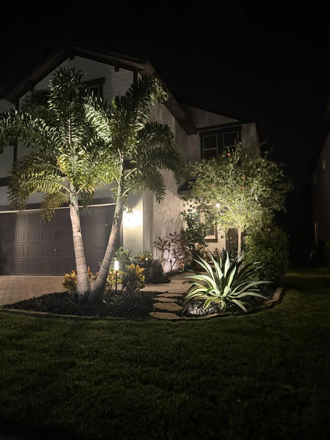 Palm Tree Uplighting in Front Yard